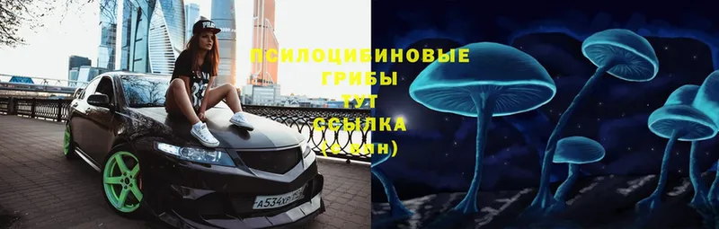 Псилоцибиновые грибы Magic Shrooms  магазин    Ейск 